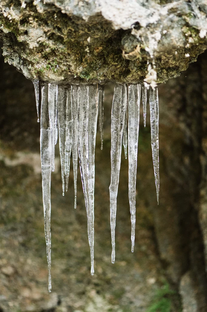 Seance-engagement-en-hiver-dijon