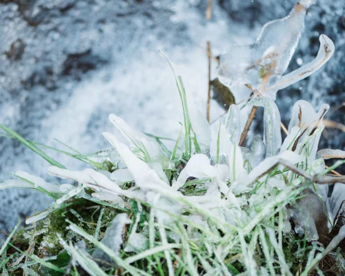 photo-cascade-baume-les-messieurs-en-hiver