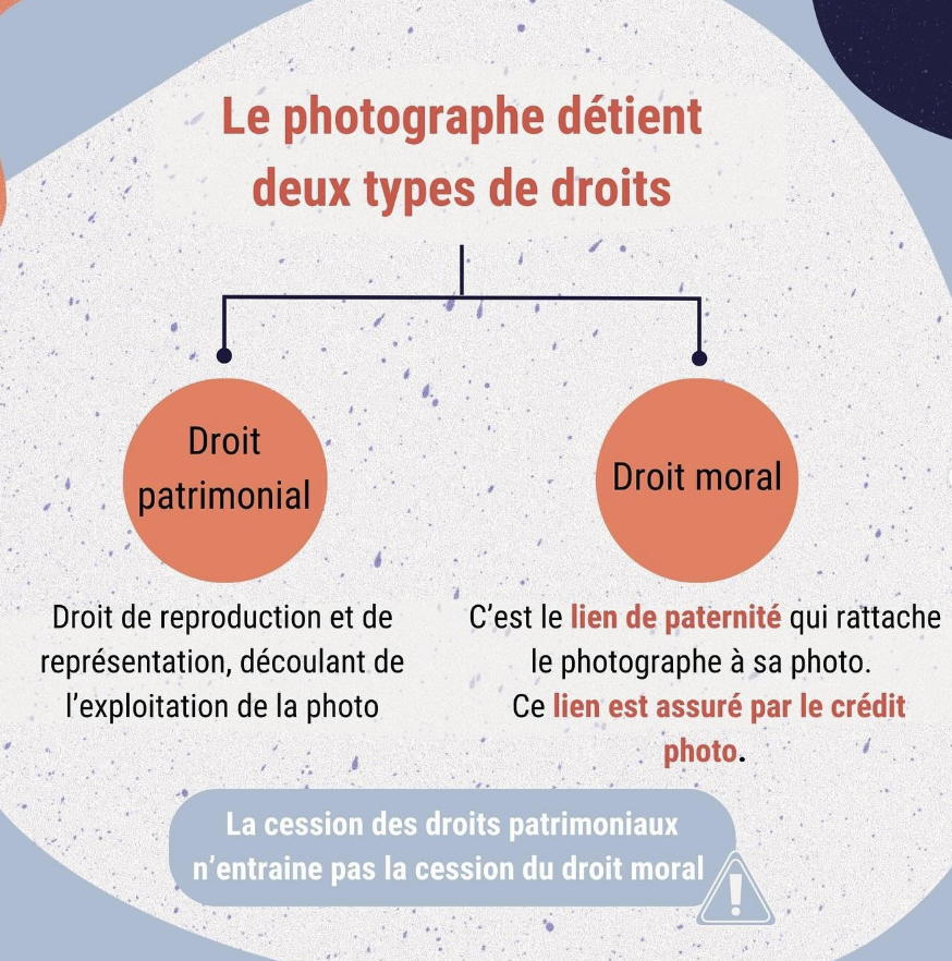droit d'auteur - barreau des arts